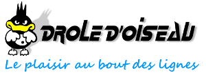 箏有你的進口風箏 droledoiseau